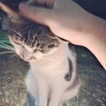 IMG_20240715_211024